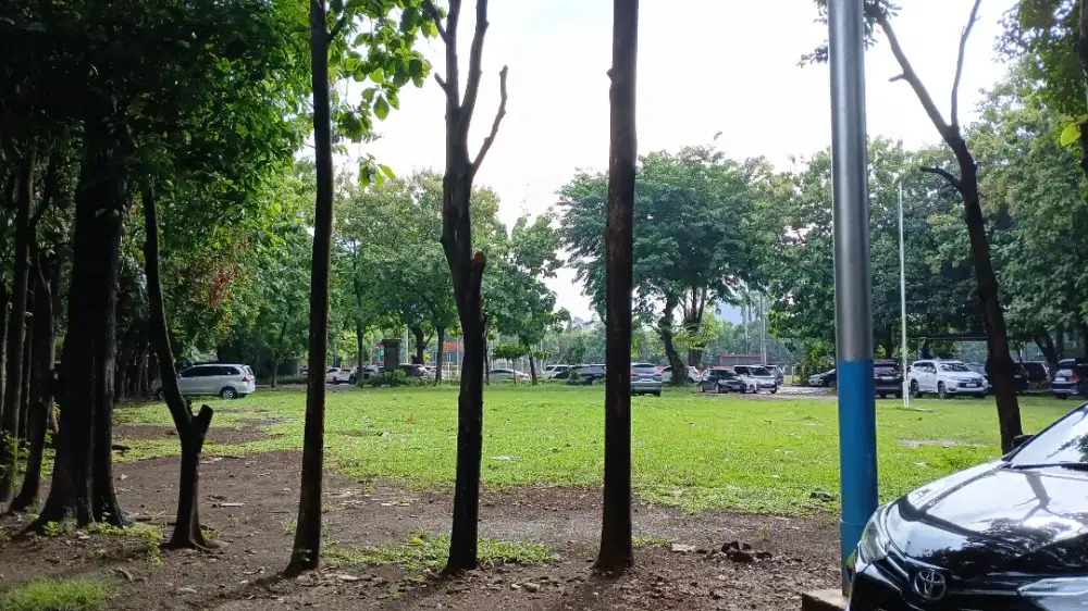 Dicari asisten rumah tangga