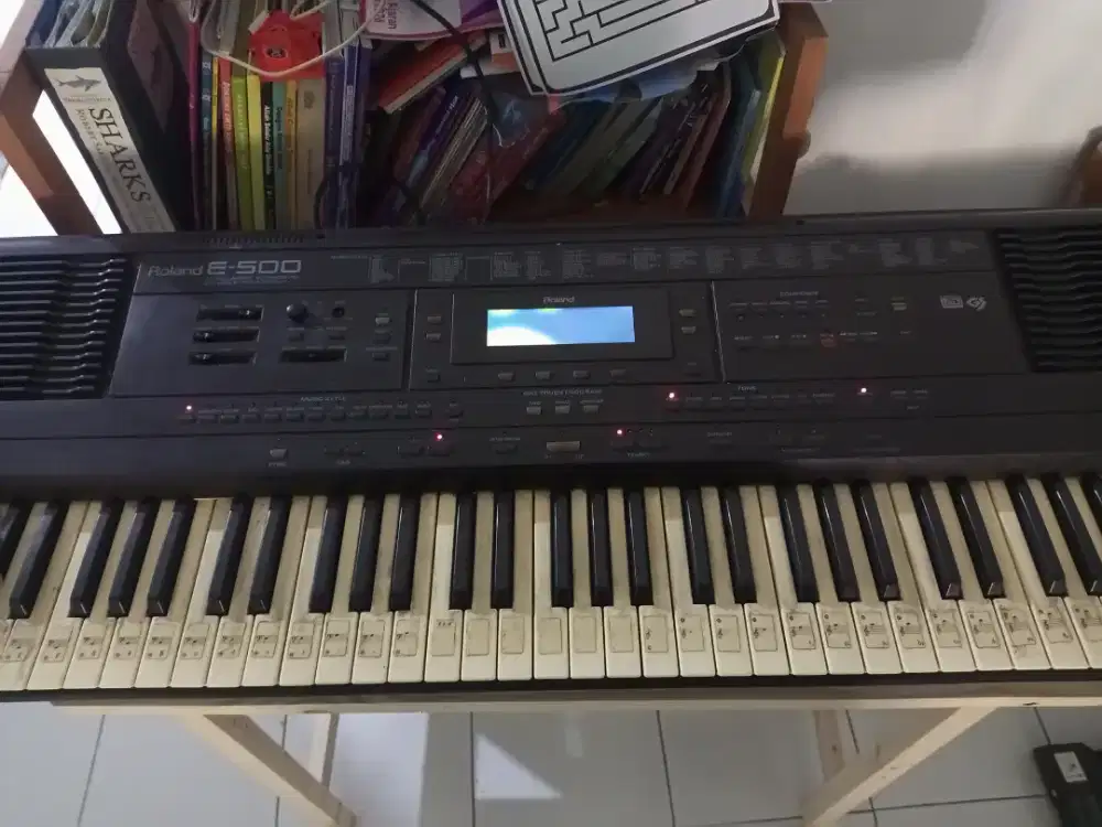 Keyboard Roland E-600