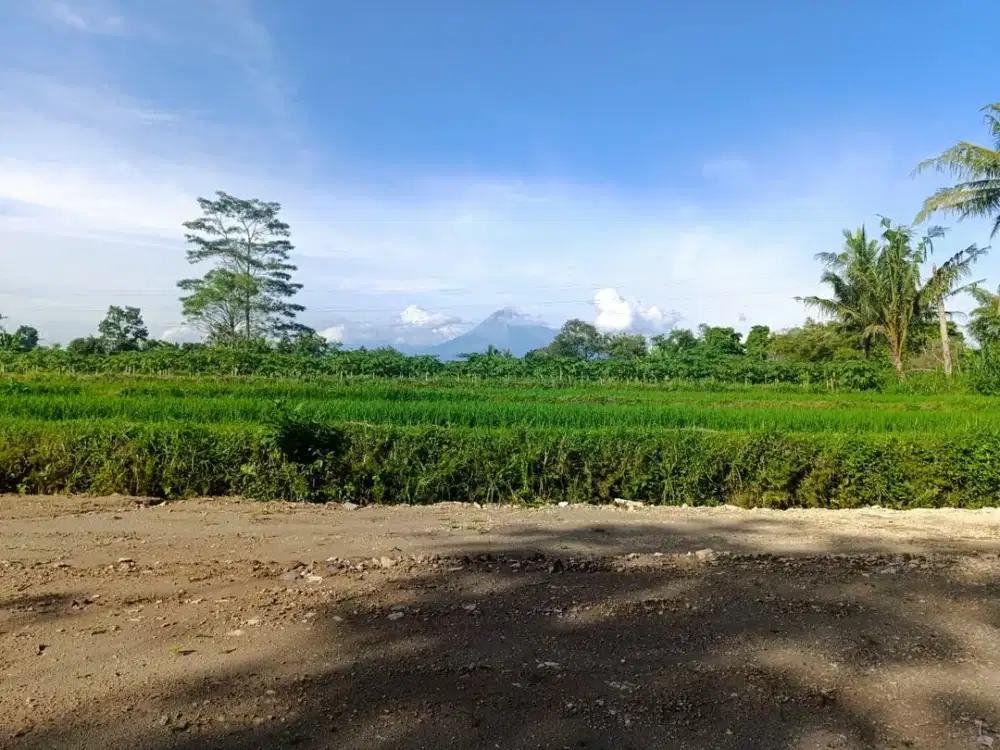 Tanah Strategis Mangku Jl. Pandowoharjo, 5 Menit Lapangan Denggung