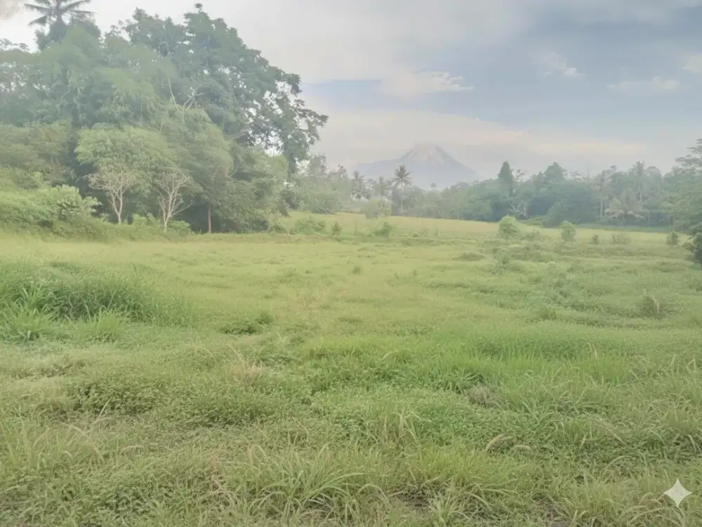 Tanah Sleman Utara Lingkungan Asri di Kawasan Wisata