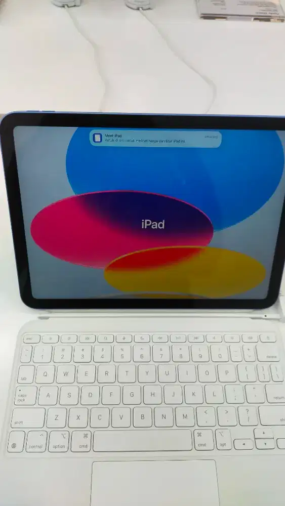 PROMO BUNGA RINGAN IPAD GEN 11 A16 WIFI CELL 128