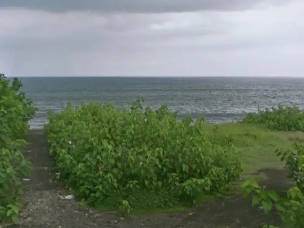 Jual Freehold  Tanah Los Pantai Nyanyi Tanah Lot Tabanan Bali. 1Canggu Beach , Batu Bolong Beach.