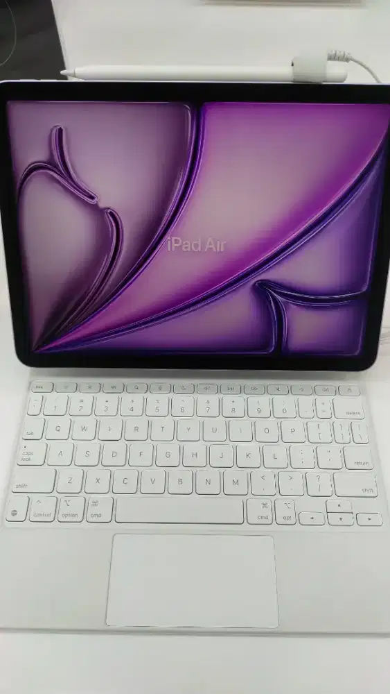 PROMO BUNGA RINGAN IPAD AIR 11 128 WIFI CELL