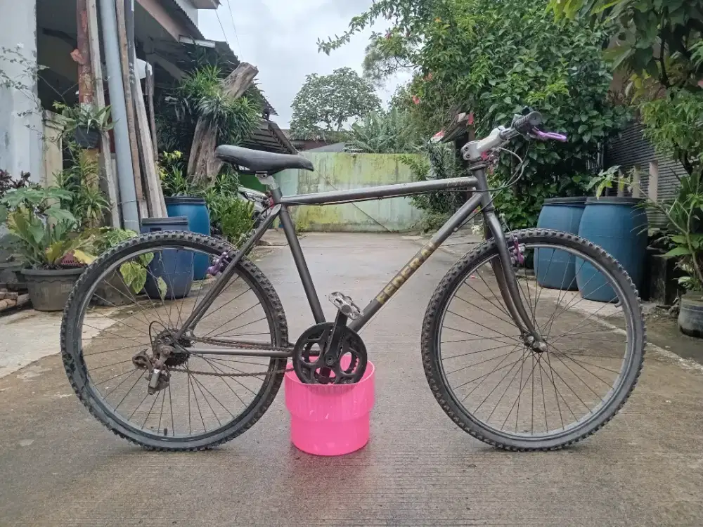 Sepeda Federal City Cat Bekas | Jarang Dipakai | Harga 1,1 JT