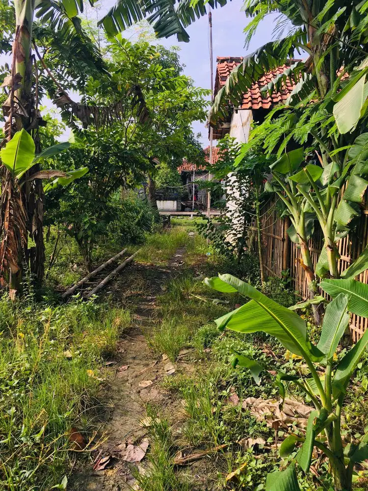 Jual tanah pekarangan siap bangun