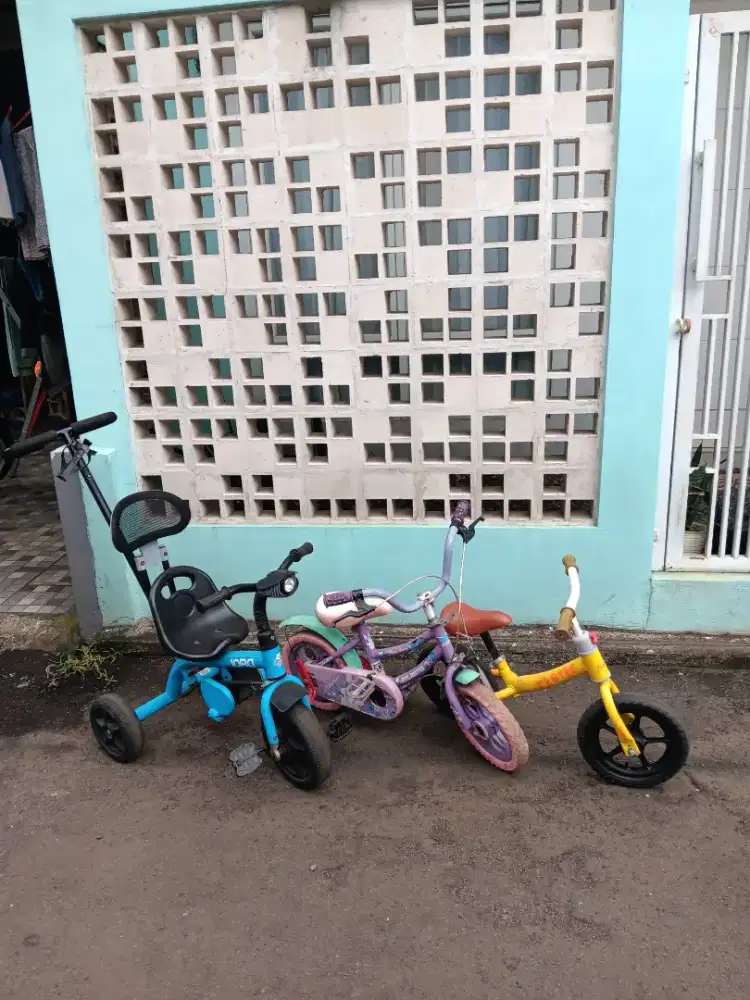 Sepeda Balance Bike Anak Sepaket