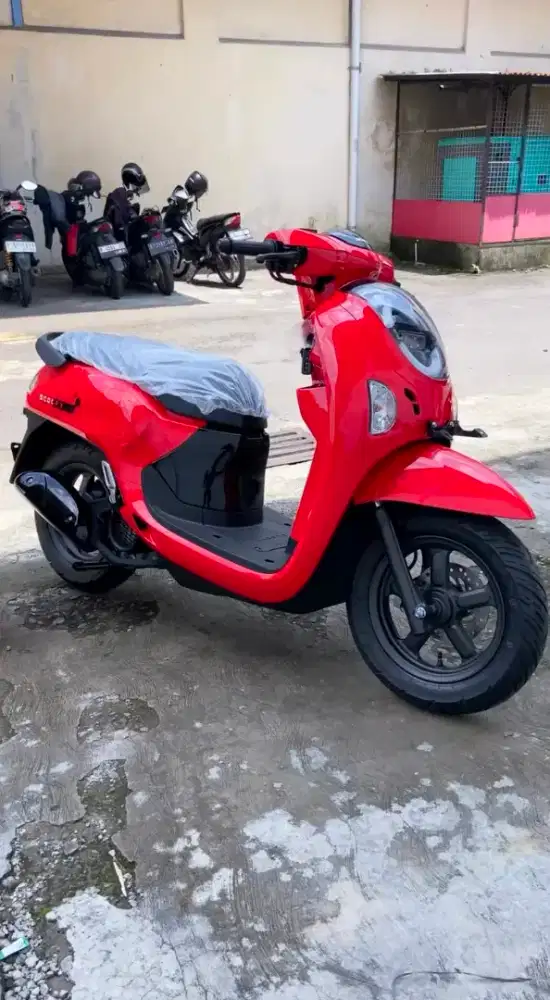 HONDA SCOOPY FASHION