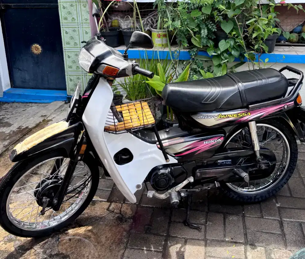 Astrea impressa full original terawat