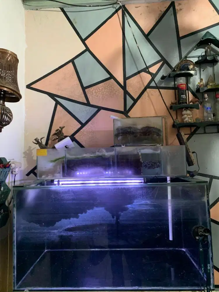 AKUARIUM UNTUK IKAN