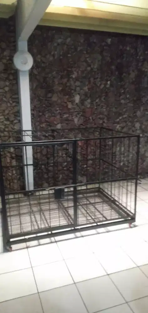 Kandang anjing baru