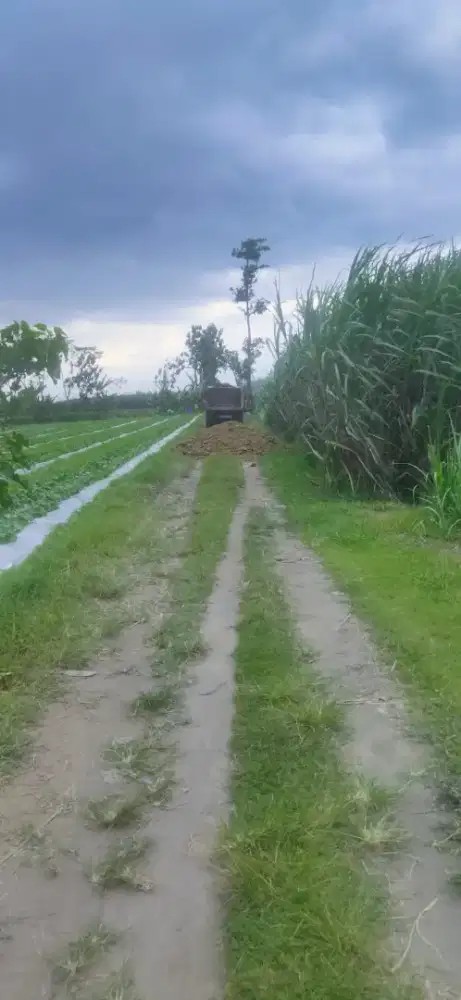 Di jual Tanah industri di daerah kediri