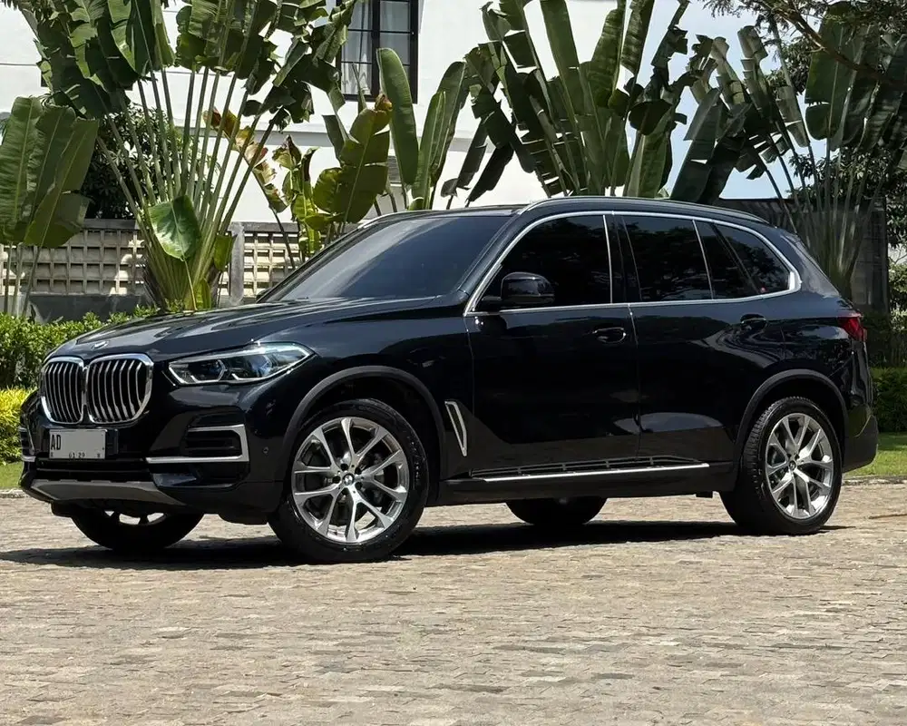 BMW X5 xdrive40i 2024 nik 2023
