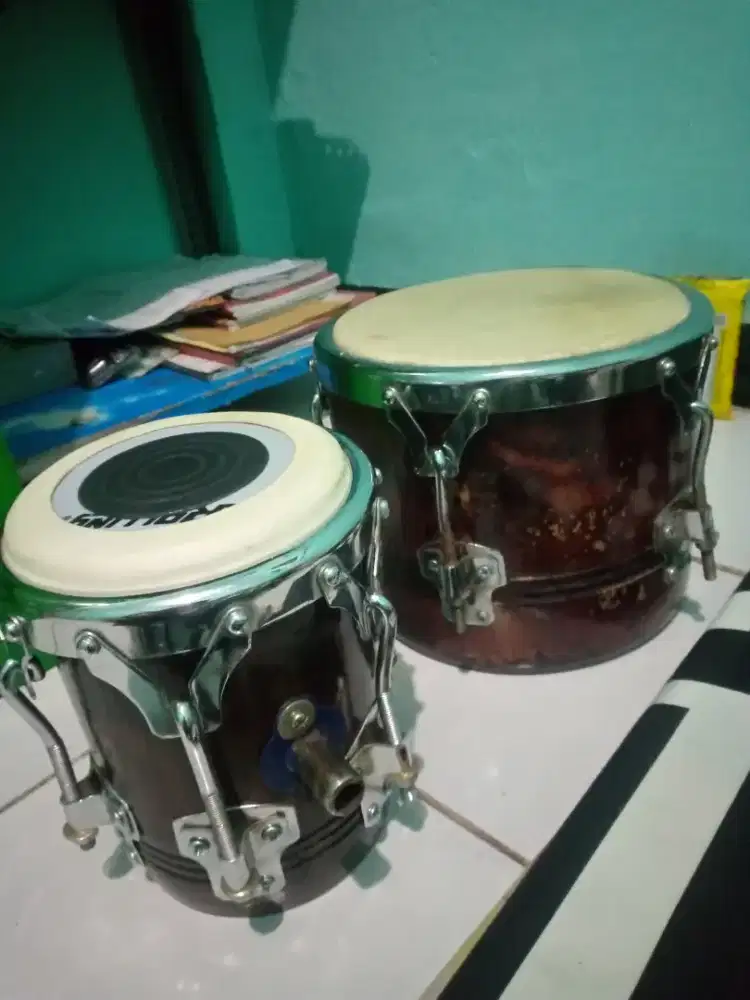 Ketipung kayu nangka