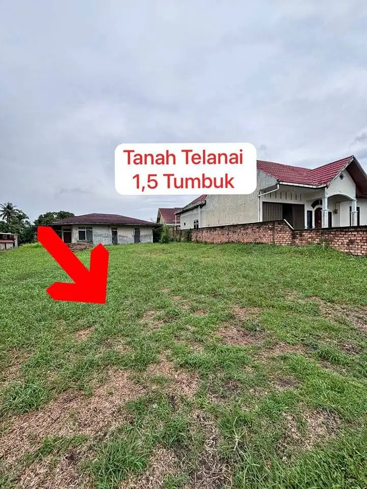Jual Tanah Telanai Kota Jambi Ukuran 150 m2