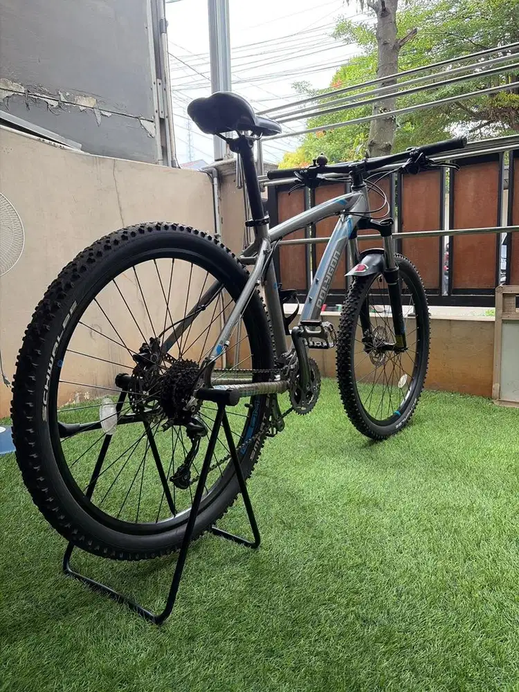 Polygon Xtrada 5 – MTB Trail