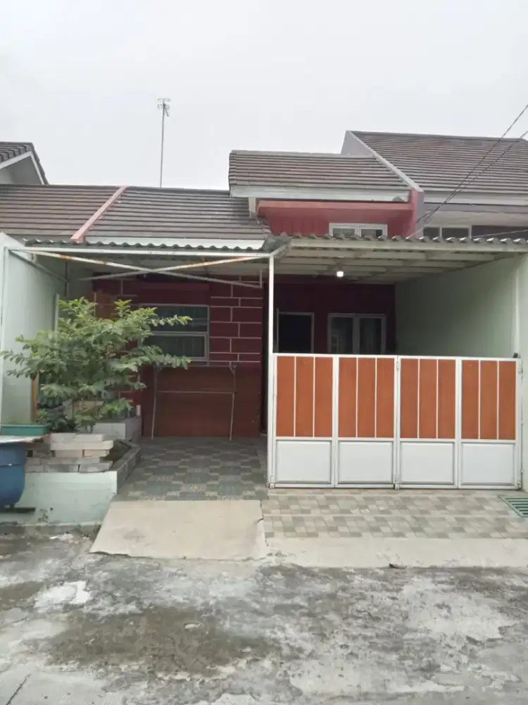 Di jual cluster jasmine