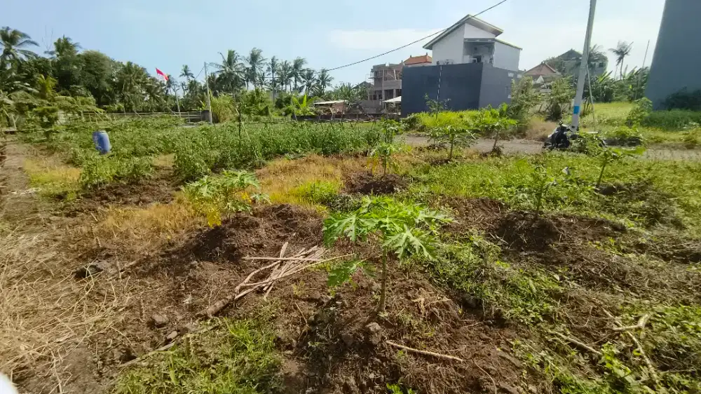 Dijual Tanah Kavling