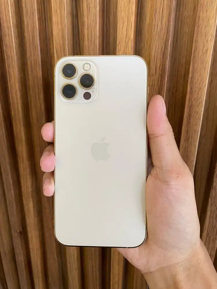 Iphone 12 Promax 256Gb Inter All Op