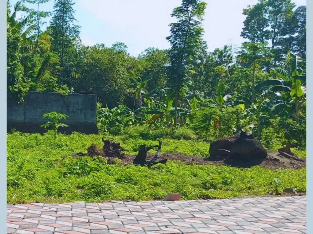 Tanah Jogja Kost Area Kampus UII Kaliurang SHM Pekarangan