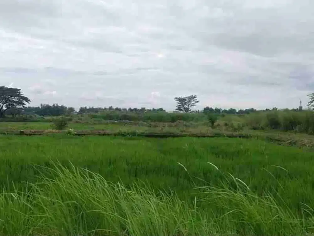 Dijual Tanah Kavling Di Wonokoyo Menganti Gresik