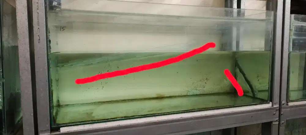 Tank 1004040 minus aman