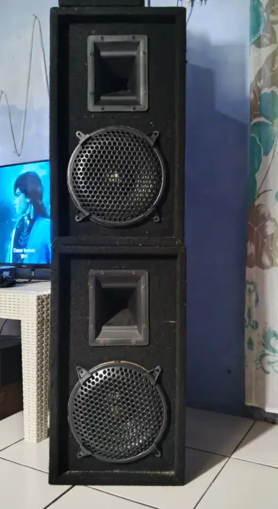 Speaker pasif 10 in plus tweter