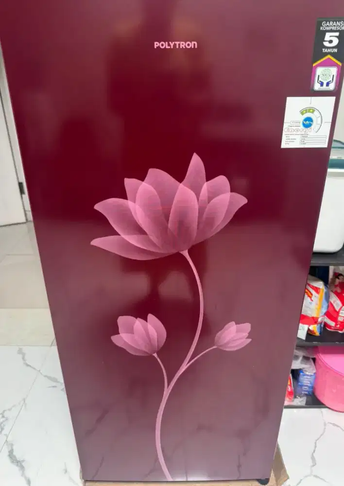 Kulkaa polytron 1 pintu