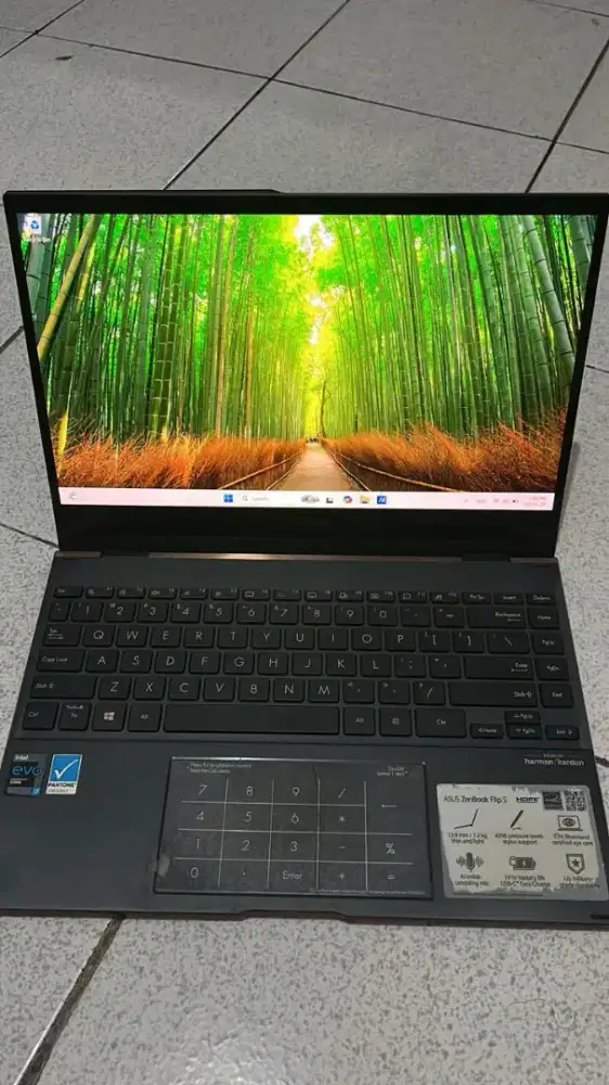 Asus zenbook flip S Oled