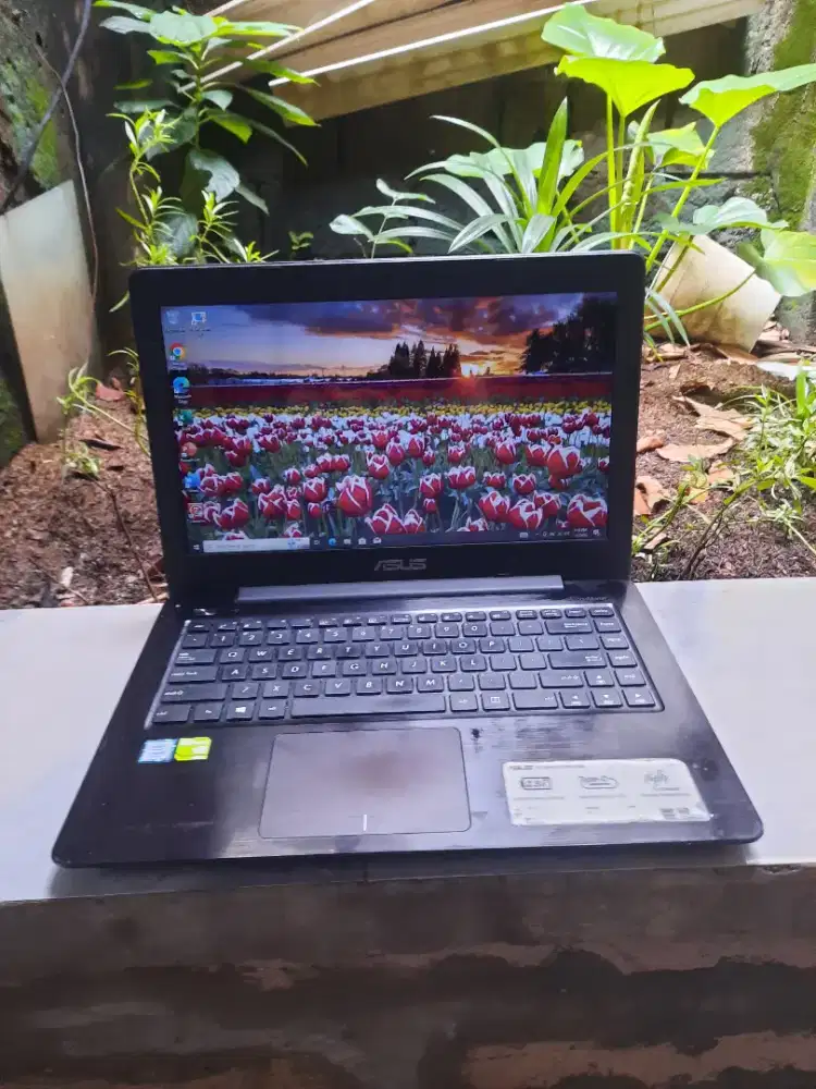 Laptop asus murah