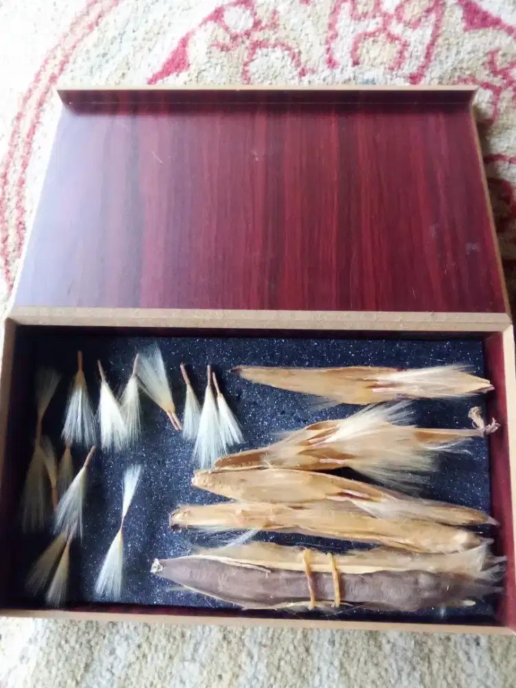 Dimaharin saja untuk menambah koleksi