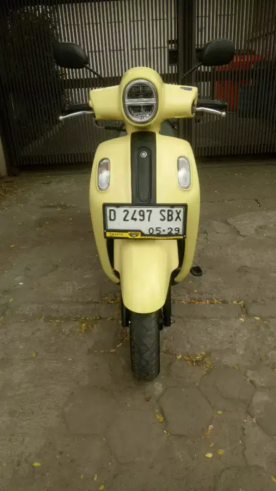 Fazzio neo hybrid 2024