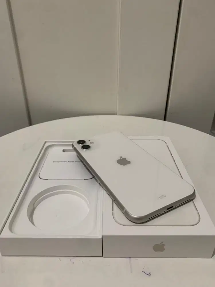 Iphone 11 64Gb - Ex Ibox (Nego)