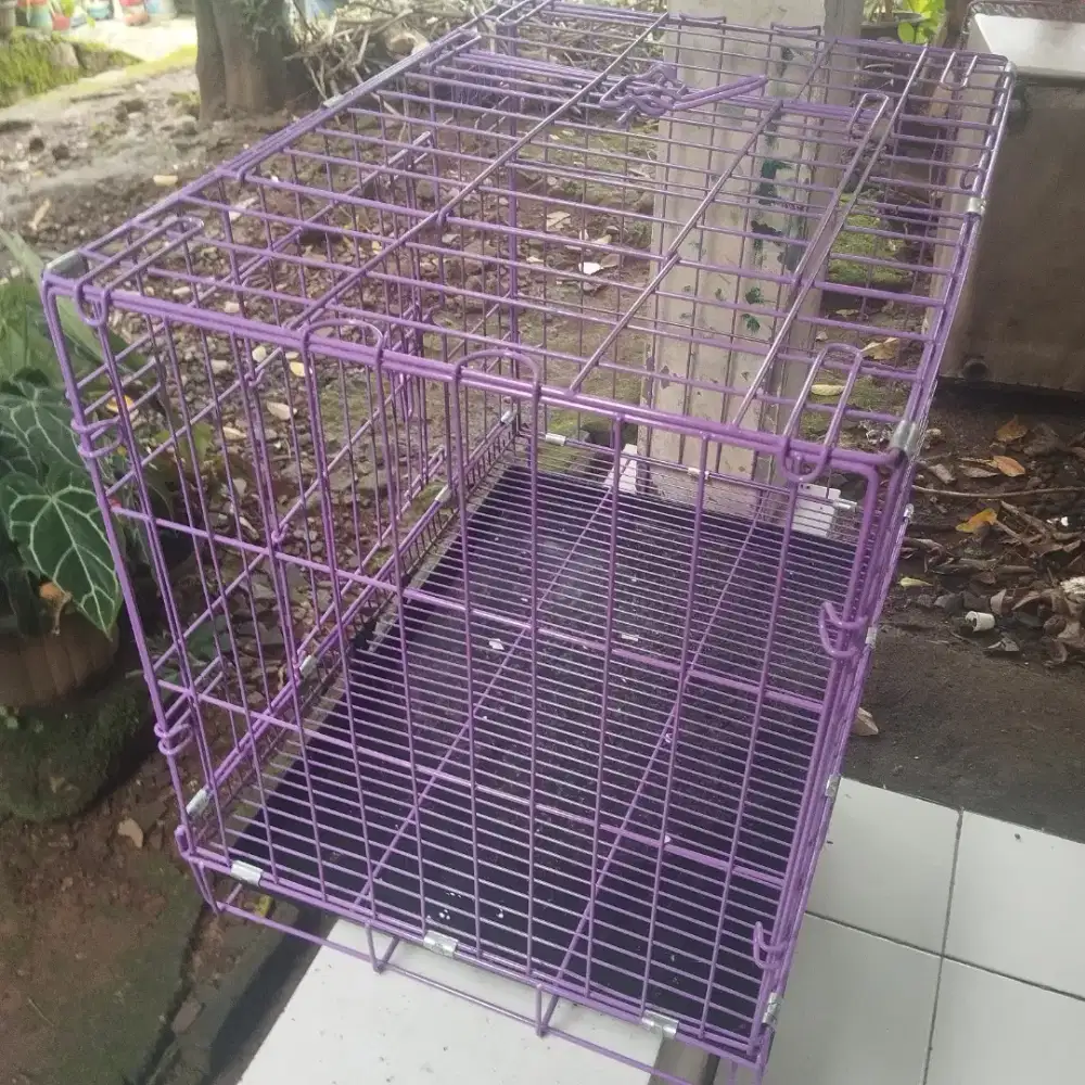 Dijual Kandang Kucing (Utk Anak Kucing)
