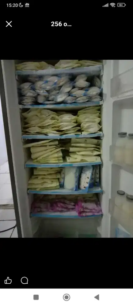 Jual butuh.Freezer ASI brand LG