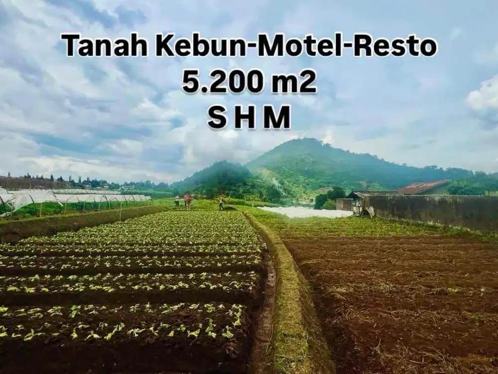 Kavling Tanah SHM Resto Motel Cianjur