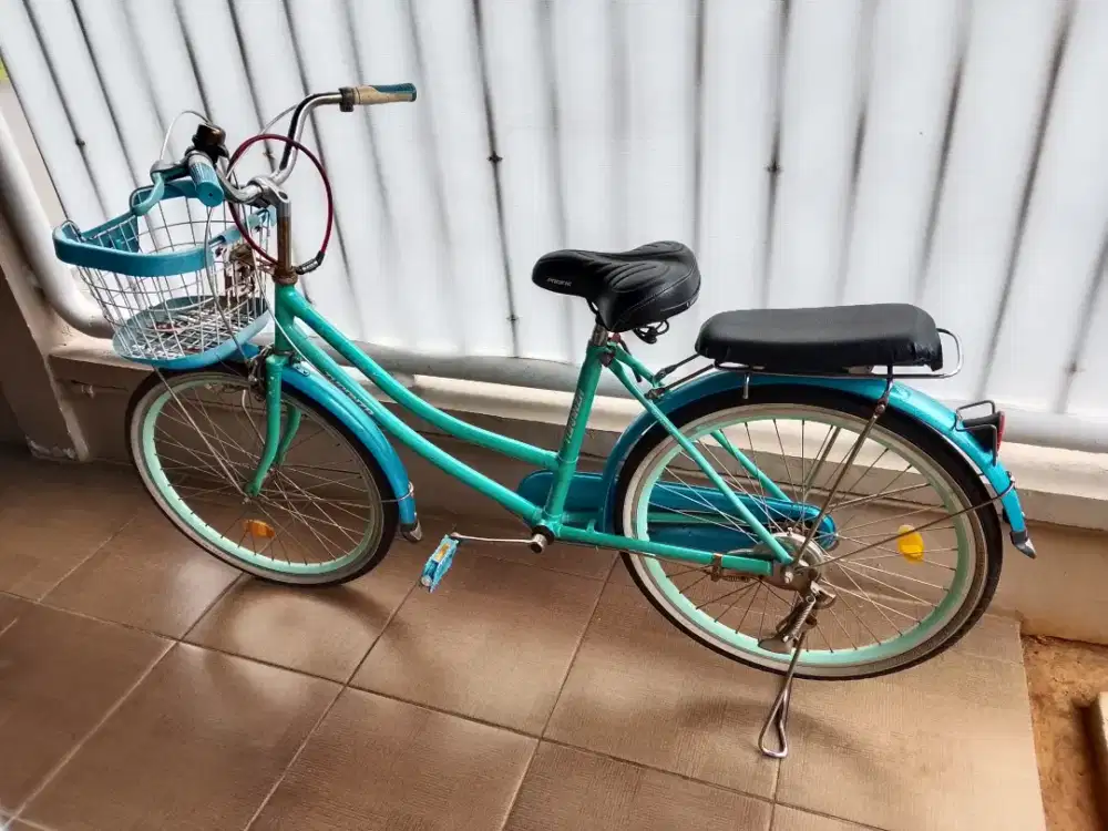 Sepeda Turanza biru muda