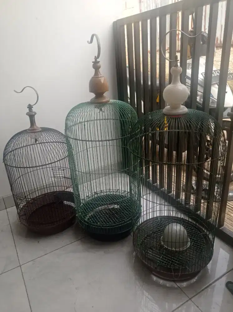 Kandang kapsul love bird