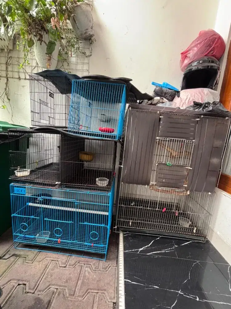 Sugar glider classic grey