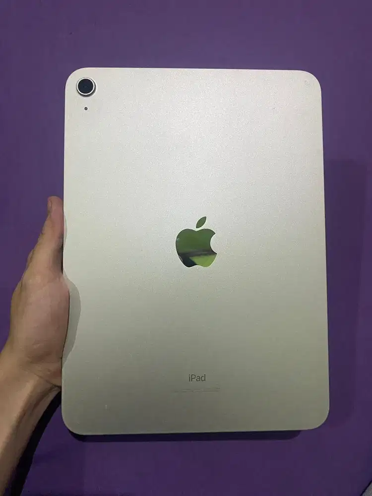 iPad 10th Generation 64gb Silver Fullset