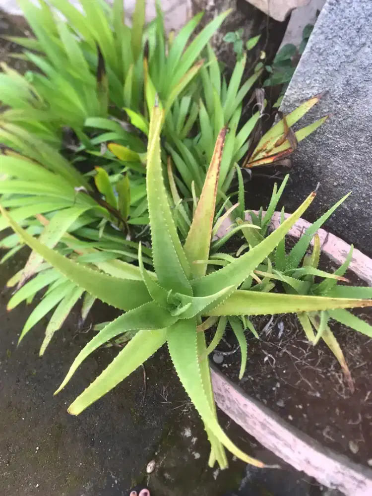 Cari pekerjaan apa aja buat cowok usia 18 tahun