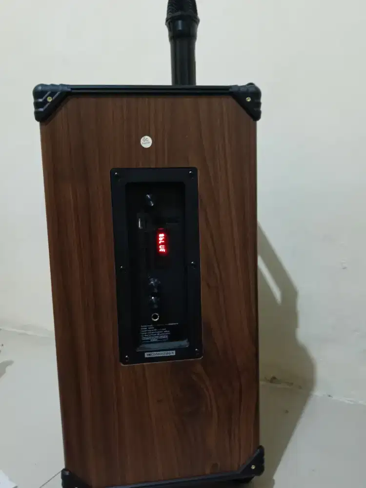 Speaker karaoke bluetooth