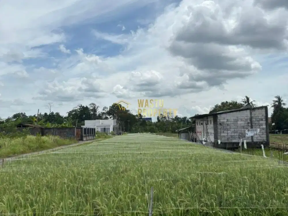TANAH STRATEGIS LOKASI PREMIUM DALAM RINGROAD MAGUWO VIEW SAWAH DAN GUNUNG MERAPI