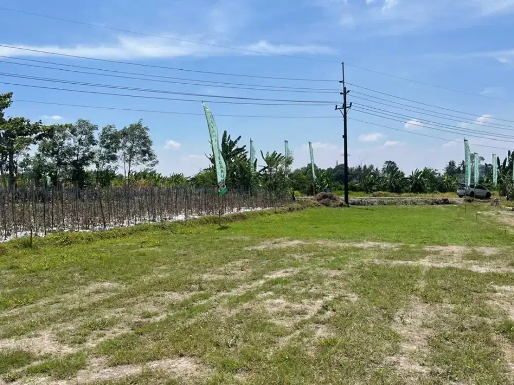 2 Tanah SHM Sleman Barat Cocok untuk Hunian, Kost dan Investasi di Area Kampus Besar