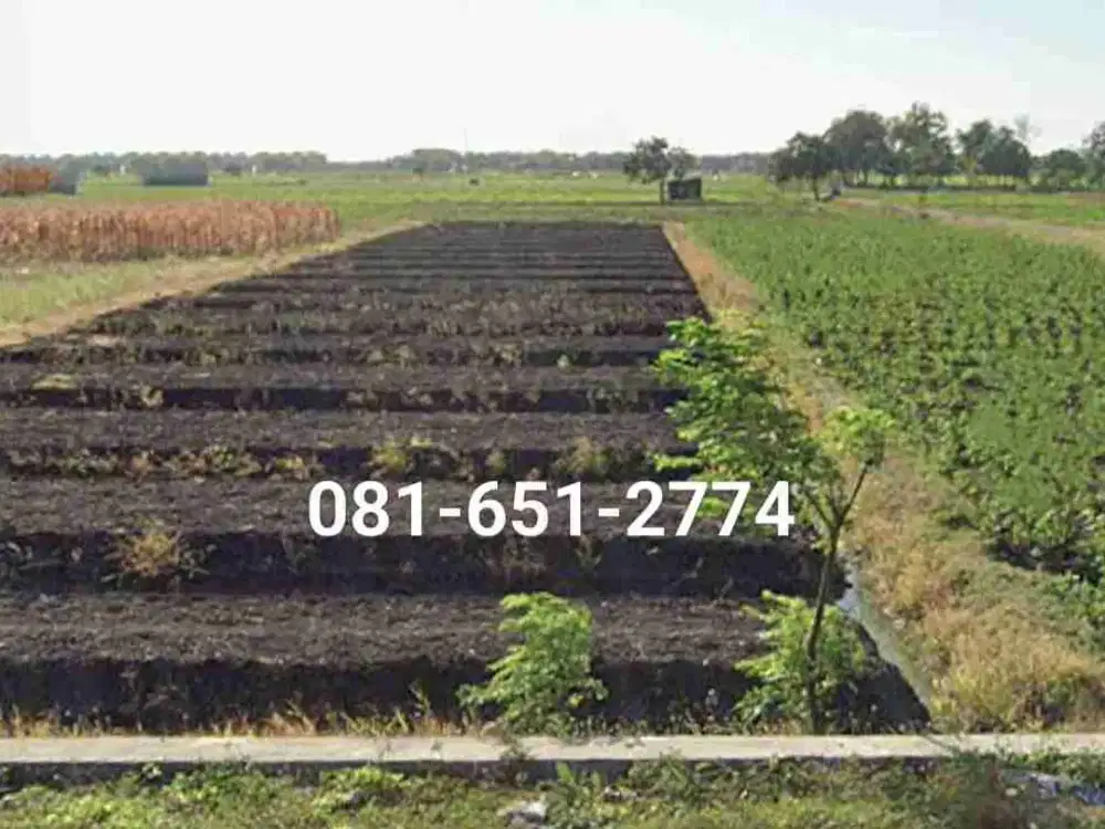 Tanah Industri Nganjuk Gondang