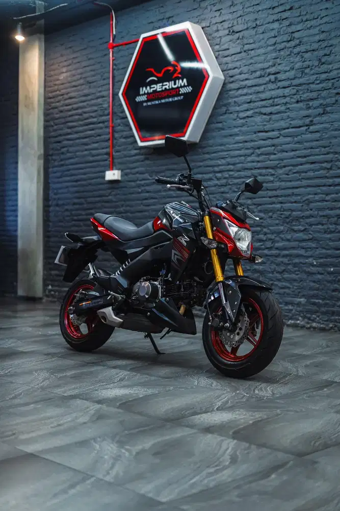 Kawasaki Z125 Special Edition