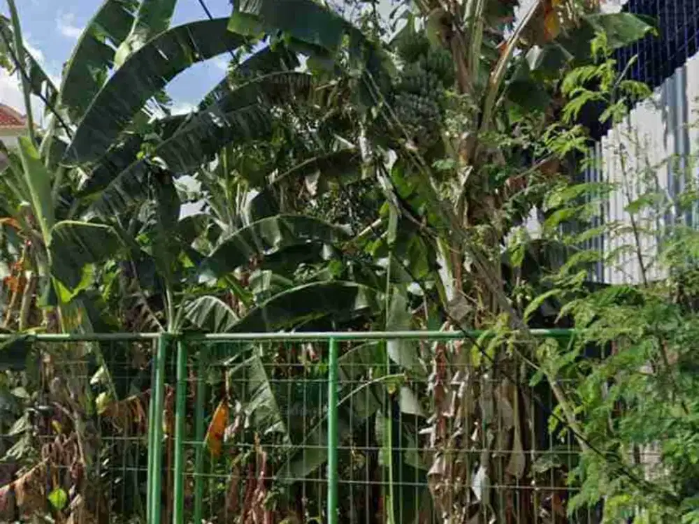 DIJUAL TANAH PEKARANGAN – ZONA KUNING LOKASI NGEMPLAK,BOYOLALI LUAS 300M2