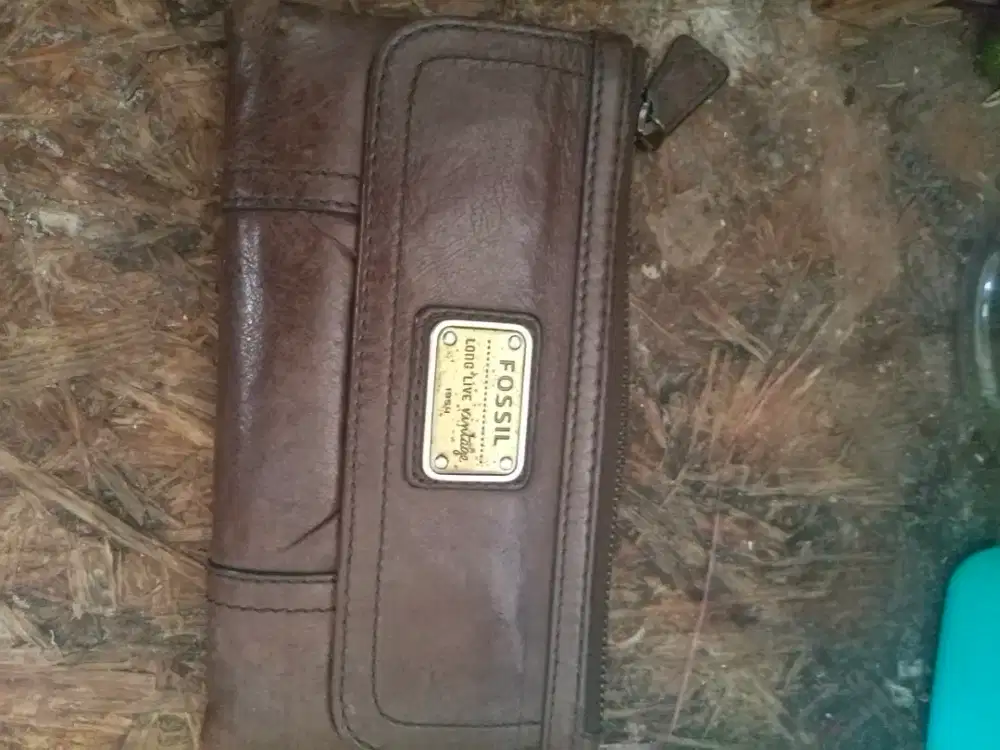 Dmpet fossil original