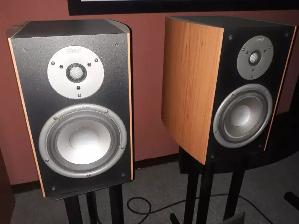 Speaker Magnat 310 Vintage