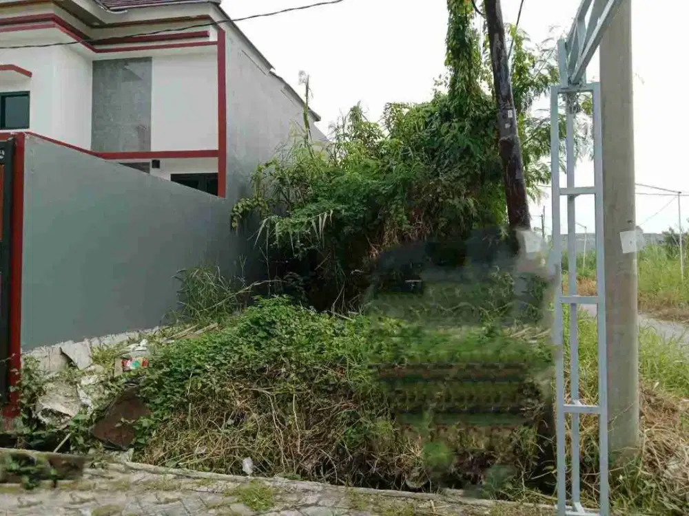 ‼️JUAL CEPAT‼️TANAH DI BUMI WONOREJO RUNGKUT SBY TIMUR