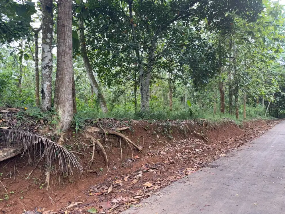 Jual tanah ciamis, Murah SHM dan Nempel Jalan Aspal